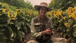 Pollinator researcher Lauren Ponisio in a sunflower field in Yolo County of northern California. Photo Courtesy: Lauren Ponisio, University of Oregon
