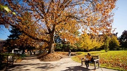 fall on campus