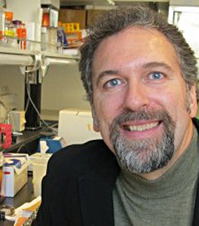 Brendan Bohannan, professor of biology and expert in microbes and our health
